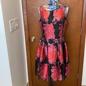 Taylor dress size 10